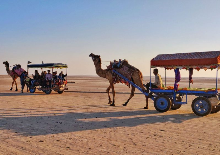 Rann Utsav Camel Cart Rides